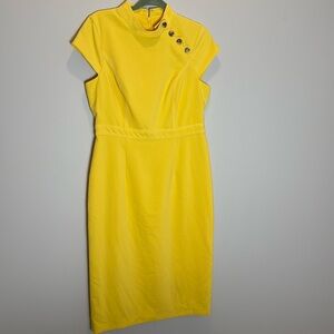 NWOT Oriental Inspired Maggy London Dress